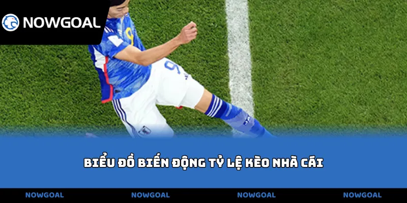 Biểu đồ biến động tỷ lệ kèo nhà cái