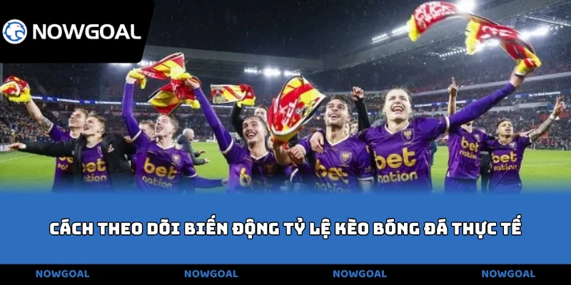 Cách theo dõi biến động tỷ lệ kèo bóng đá thực tế