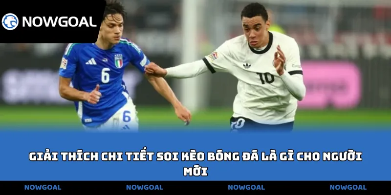 Giải thích chi tiết soi kèo bóng đá là gì cho người mới
