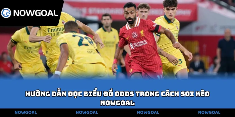 Hướng dẫn đọc biểu đồ Odds trong cách soi kèo NOWGOAL