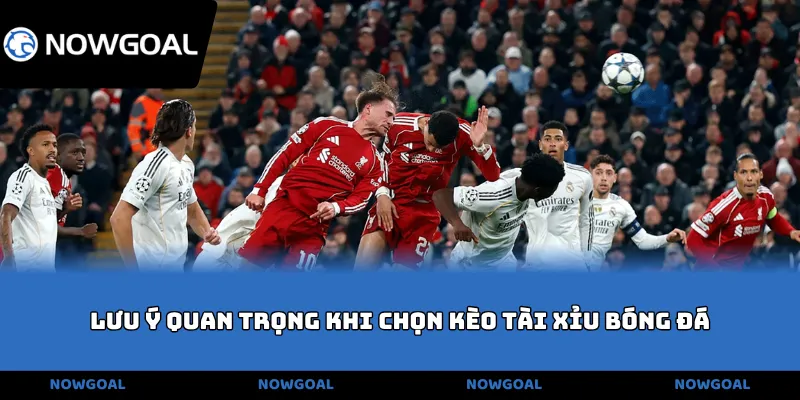 Lưu ý quan trọng khi chọn kèo tài xỉu bóng đá