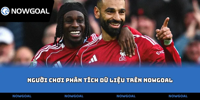 Người chơi phân tích dữ liệu trên NOWGOAL
