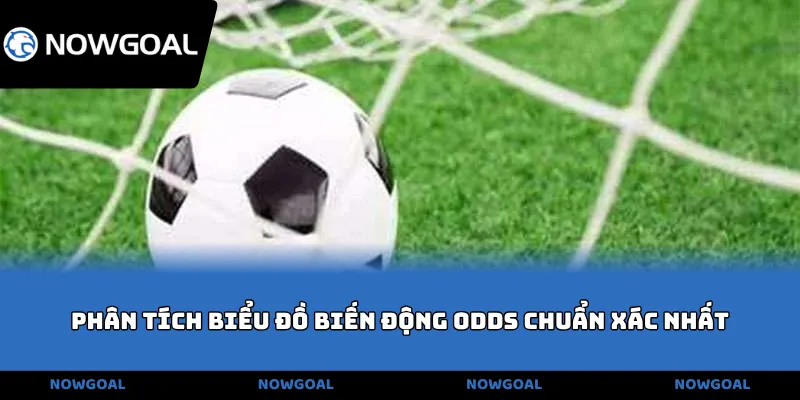 Phân tích biểu đồ biến động odds chuẩn xác nhất